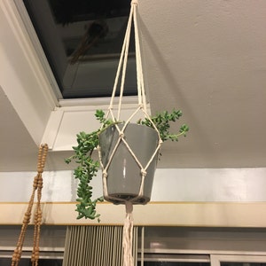Diana added a photo of their purchase