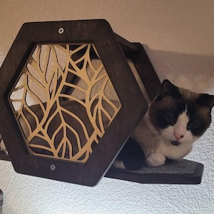 Bethany added a photo of their purchase