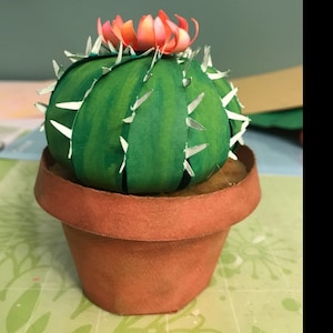 Buyer photo Lindy DiMascio, who reviewed this item with the Etsy app for iPhone.