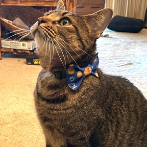sparkly dog bow tie