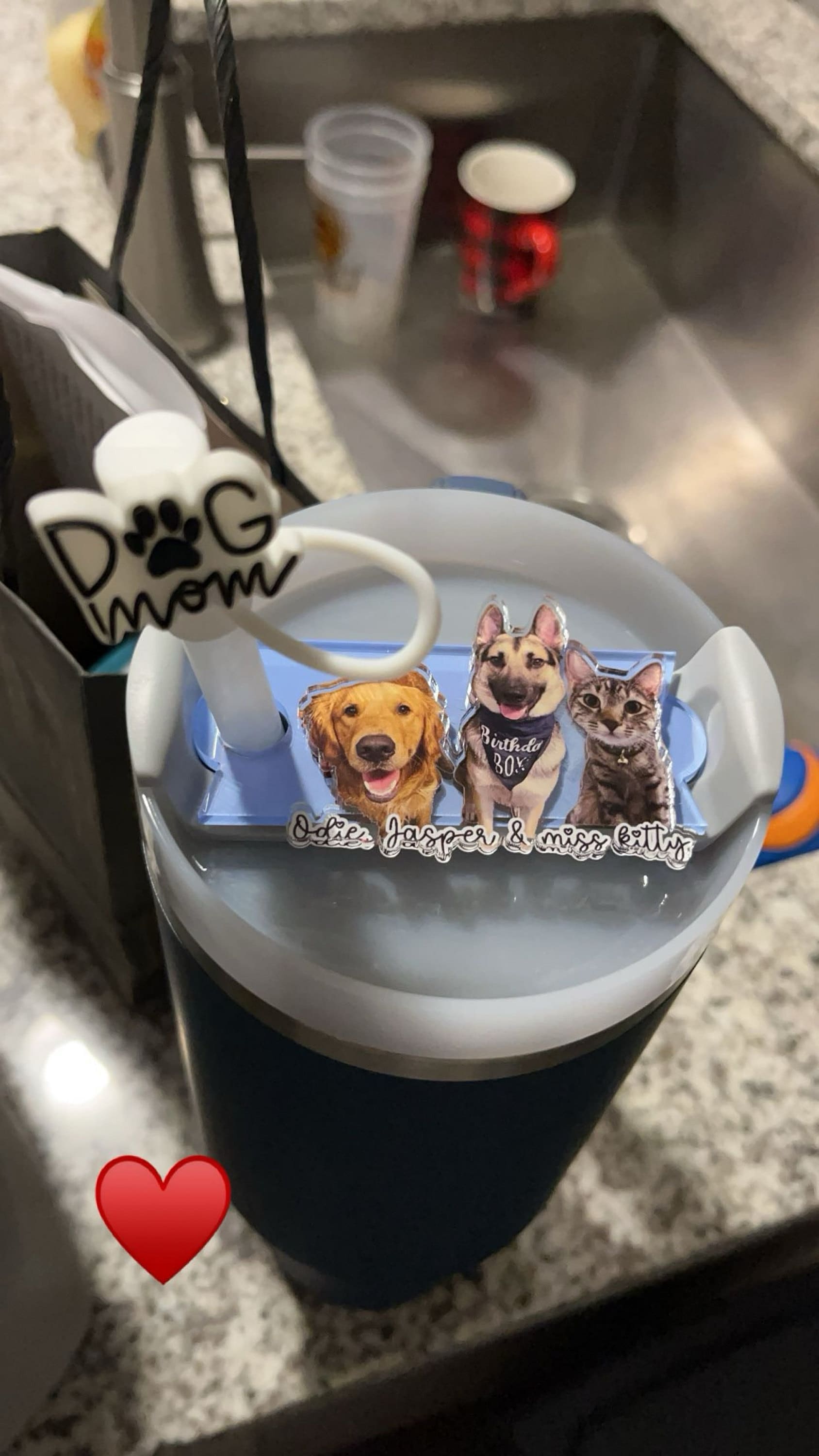 Personalized Photo Tumbler Name Tag, 30oz 40oz Tumbler Quencher Name Plate Topper, Custom Pet Stanley Accessories Tag, Gift For Best Friends