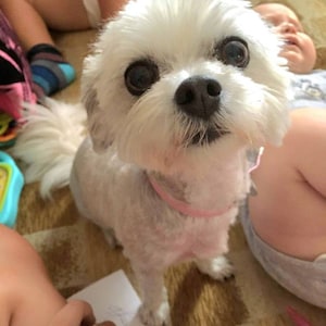 Anneliese added a photo of their purchase
