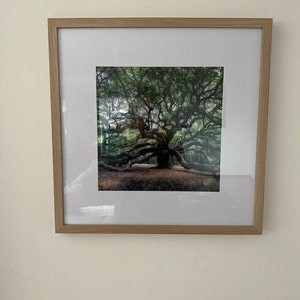 Michelle added a photo of their purchase