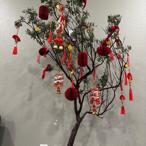 an ha añadido una foto de su compra