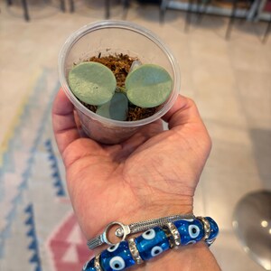Cigdem さんが購入した商品の写真を追加しました