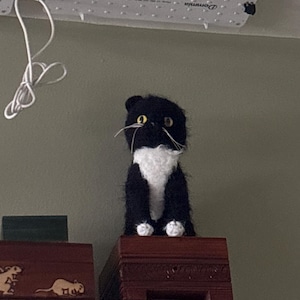 sam added a photo of their purchase