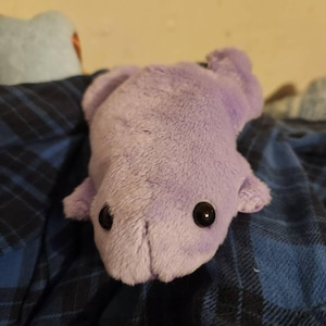 Katherine added a photo of their purchase