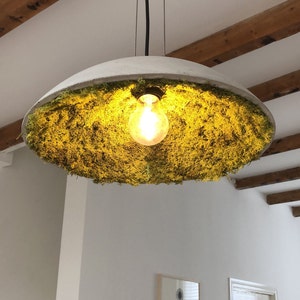 Sterre added a photo of their purchase