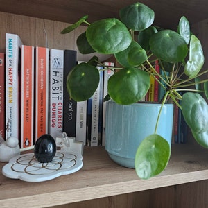 Andreea heeft een foto van zijn/haar aankoop toegevoegd