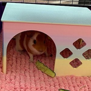 Rose added a photo of their purchase