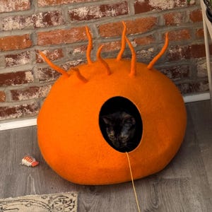 john a ajouté une photo de son achat