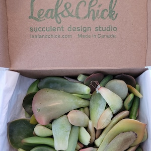 Jenny added a photo of their purchase