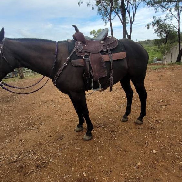 Selle Western Barrel Horse – Cuir – Taille 10 à 18 Pouces – Ashmita Saddlery