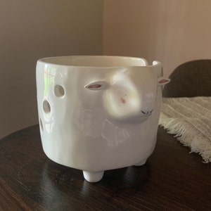 Theresa added a photo of their purchase