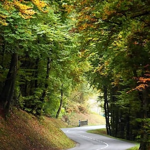 Imad added a photo of their purchase