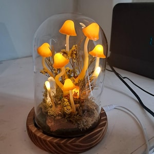 Nikki ha añadido una foto de su compra