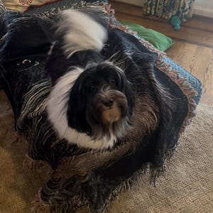 Jackson ha aggiunto una foto del proprio acquisto