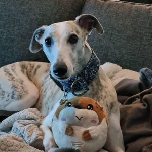 Karin added a photo of their purchase