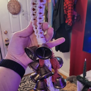 Miranda added a photo of their purchase