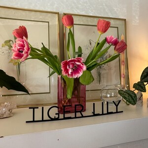 Lily added a photo of their purchase