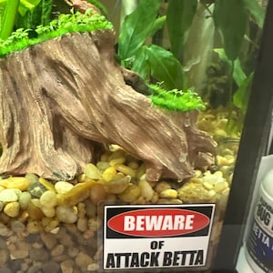 Brittany added a photo of their purchase