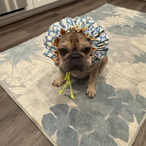 Beverly added a photo of their purchase