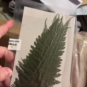 Sabrina added a photo of their purchase