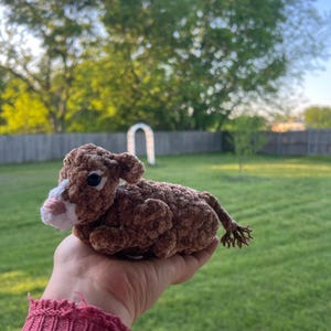 Tammy added a photo of their purchase