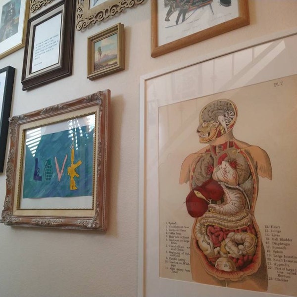 Poster, Many Sizes Available; Internal Organs of the Human Body From ...