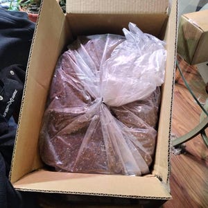 Laura added a photo of their purchase
