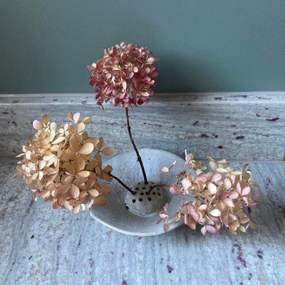 Porcelain Decorative Bowl Coffee Table Centrepiece - Etsy