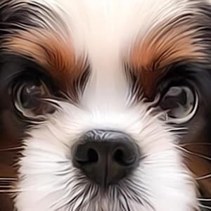 Pauline added a photo of their purchase