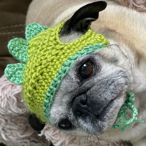 Jenny added a photo of their purchase