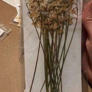 Comprador de Etsy ha añadido una foto de su compra