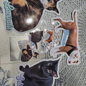 Ashley さんが購入した商品の写真を追加しました