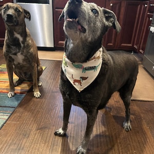Amy added a photo of their purchase