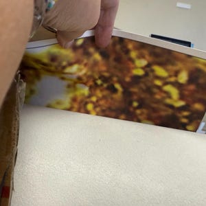 Antonela added a photo of their purchase