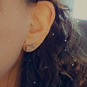 Sarah added a photo of their purchase