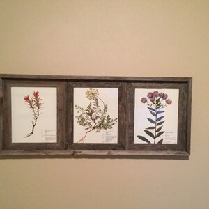 Amelia added a photo of their purchase