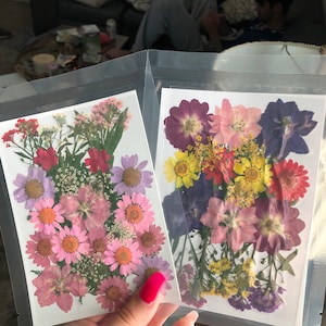 Meghan added a photo of their purchase