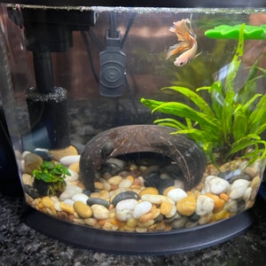 Dana added a photo of their purchase