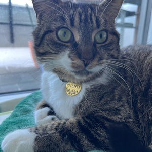 Samantha さんが購入した商品の写真を追加しました