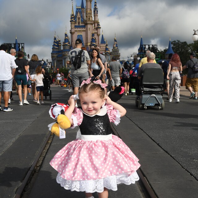 Vestido rosa de rat n Minnie. Disfraz de rat n minnie rosa