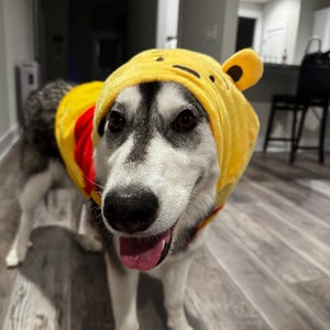 Diana added a photo of their purchase