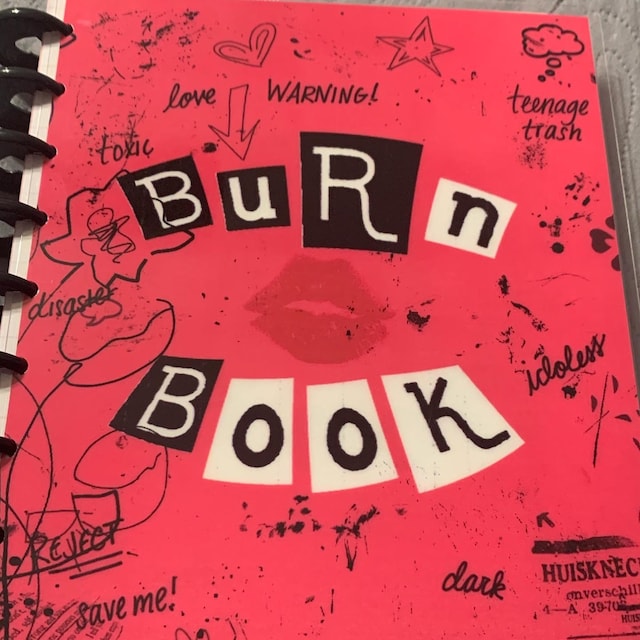 Mean Girls Burn Book Cover Set 4 use with Erin Condren A5 Coil Spiral  Planner