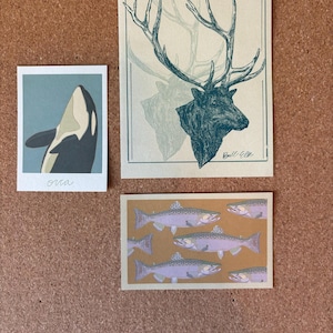 abbey added a photo of their purchase