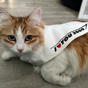 Carolanne adicionaram uma foto da sua compra