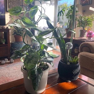 Elizabeth added a photo of their purchase