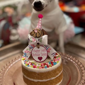 Peanut Butter Cake For Dogs Peanut Butter Where Can I Get A