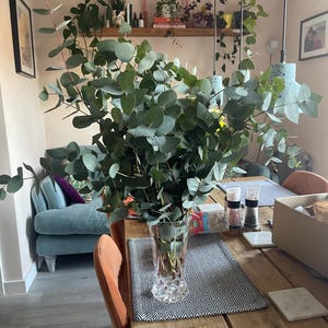 Jessica added a photo of their purchase